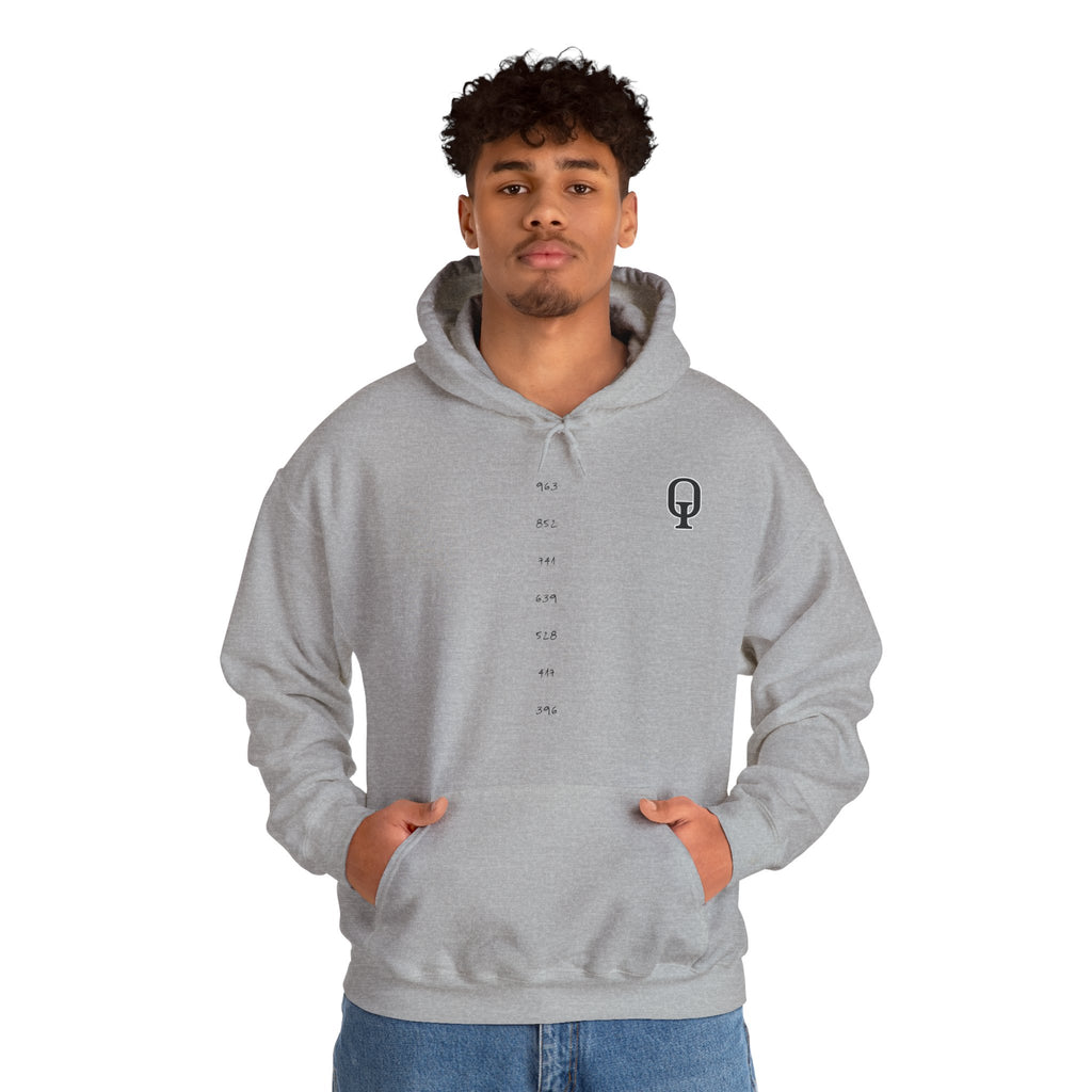 FreeeQ Frequency Number Line Hoodie — FreeeQ Meditation & Manifest Energy