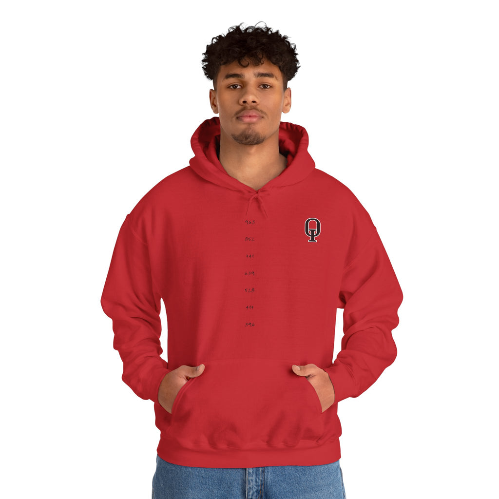 FreeeQ Frequency Number Line Hoodie — FreeeQ Meditation & Manifest Energy