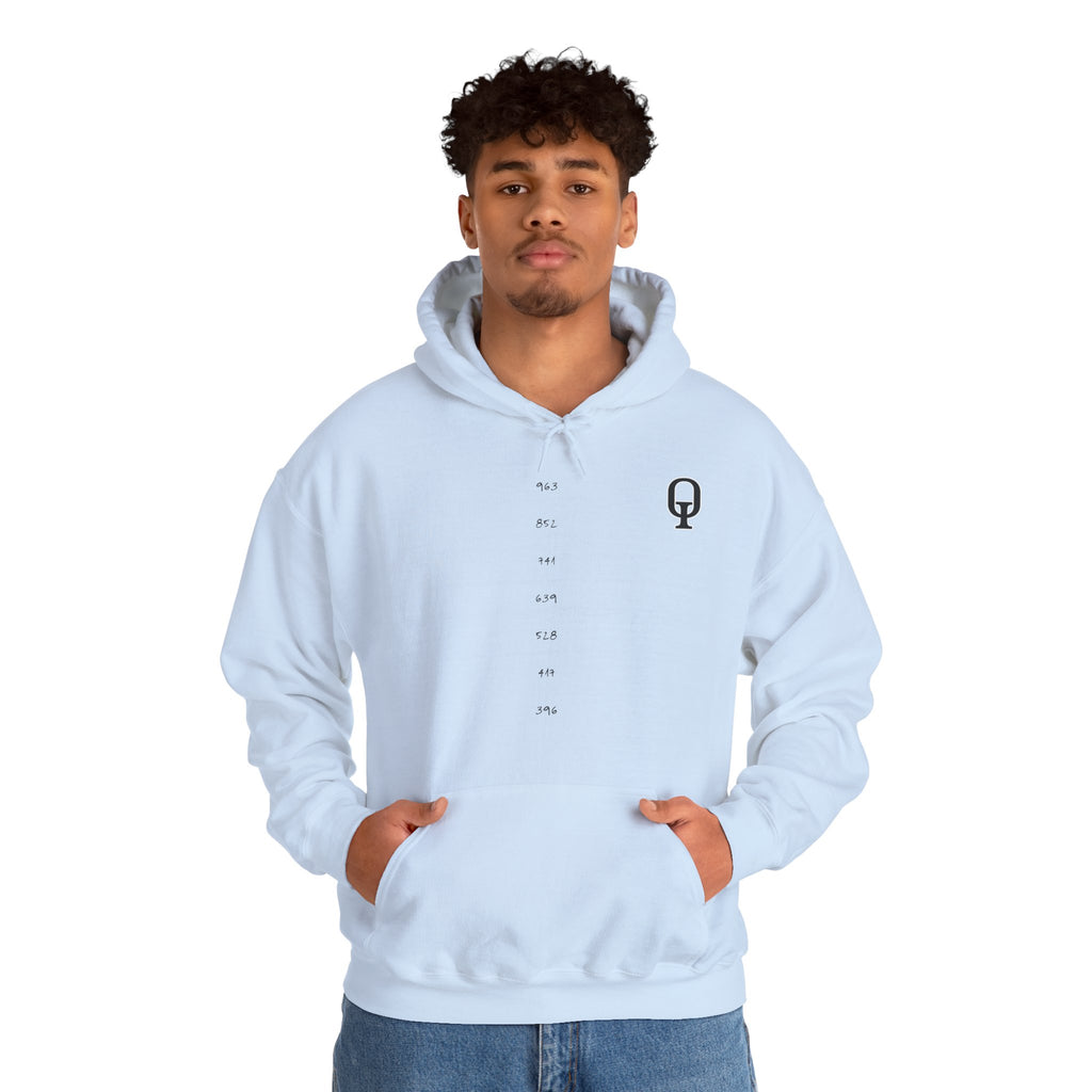 FreeeQ Frequency Number Line Hoodie — FreeeQ Meditation & Manifest Energy