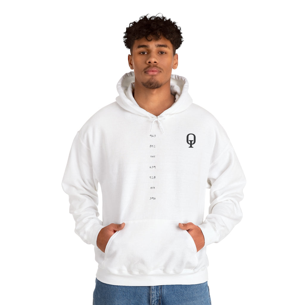 FreeeQ Frequency Number Line Hoodie — FreeeQ Meditation & Manifest Energy